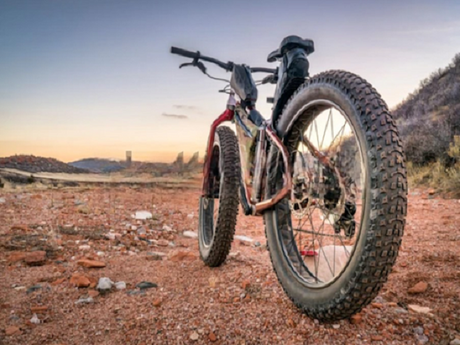 Cosa Sanno Gli Esperti Della Nuova Fat Bike Elettrica