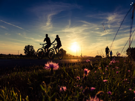Migliore Bici Elettrica Offerta Ideale Per Gite Domenicali Nella Natura