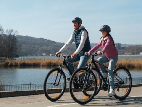Top Bici Elettriche Sostituiscono Costose Automobili Familiari Ora