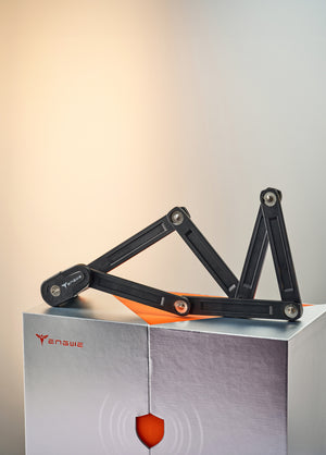 Cofanetto 12° anniversario ENGWE (Omaggio con l'acquisto di una bicicletta elettrica)