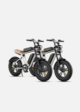 ENGWE M20 Combinazione