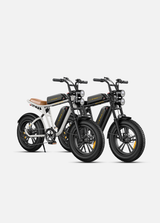 ENGWE M20 Combinazione