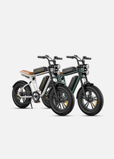 ENGWE M20 Combinazione