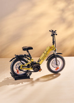 Cofanetto 12° anniversario ENGWE (Omaggio con l'acquisto di una bicicletta elettrica)