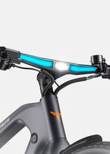 N1 PRO