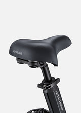 ENGWE L20 3.0 BOOST